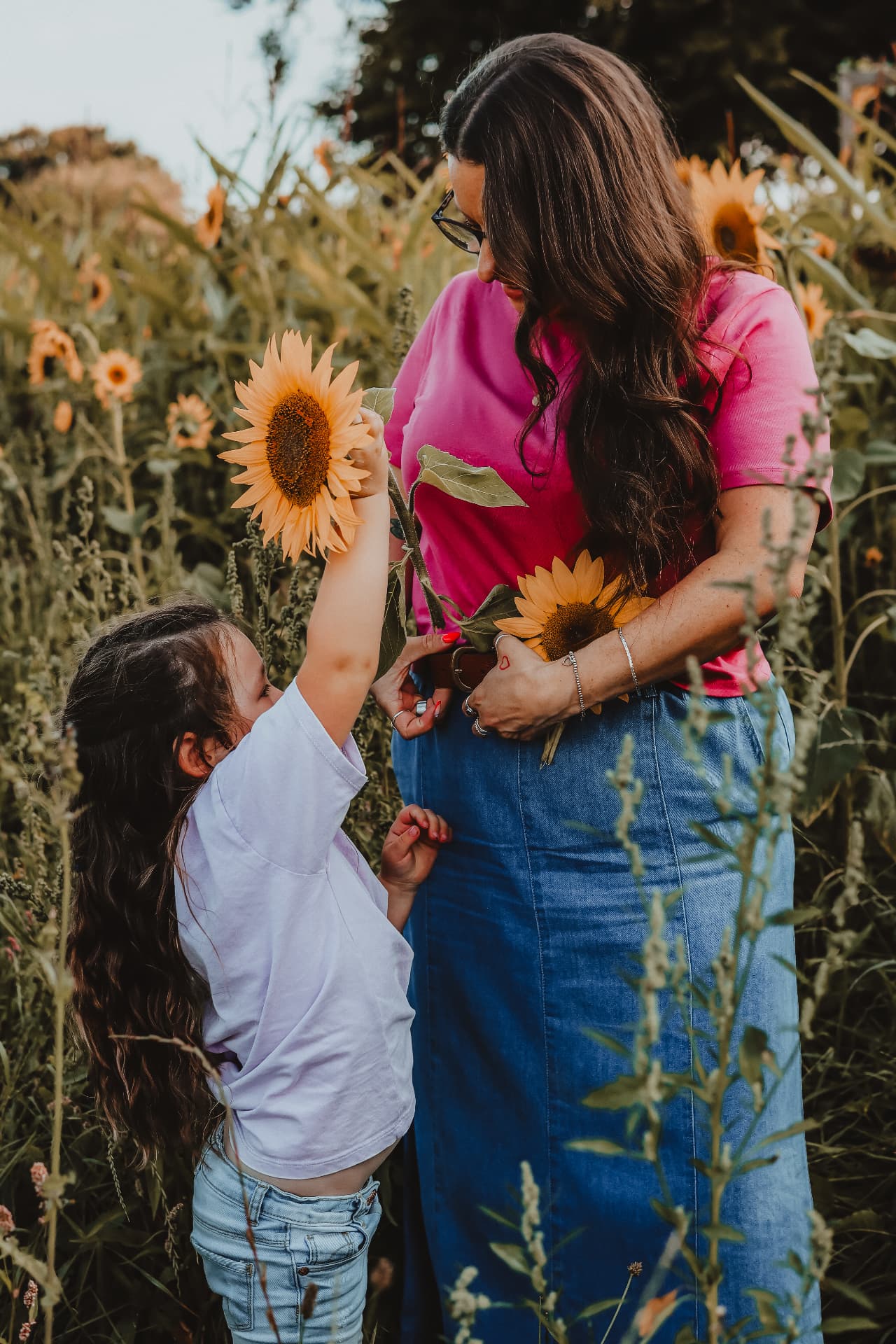 Little girl holding a sunflower up to her mother in a summer field